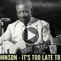 Lonnie Johnson - It's Too Late To Cry Baby
