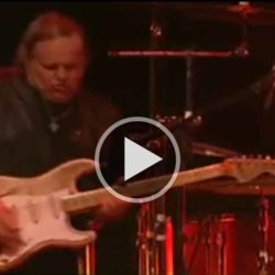 Walter Trout - Work No More