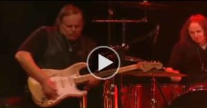 Walter Trout - Work No More