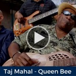 Taj Mahal - Queen Bee