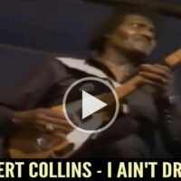 Albert Collins - I Ain't Drunk