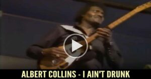 Albert Collins - I Ain't Drunk