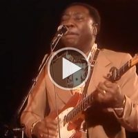 Muddy Waters - Can't Get No Grindin