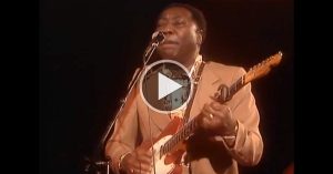 Muddy Waters - Can't Get No Grindin