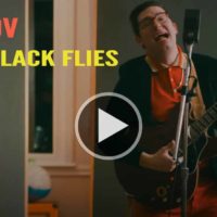 Eddie 9V (9-volt) - Little Black Flies
