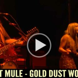Gov't Mule - Gold Dust Woman