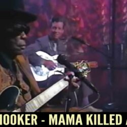 John Lee Hooker and John Hammond Jr - Mama Killed A Chicken