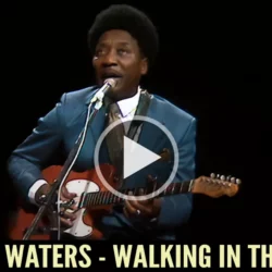 Muddy Waters - Walking in the Park