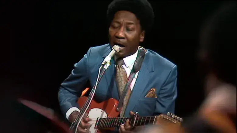 Muddy Waters – Walking in the Park