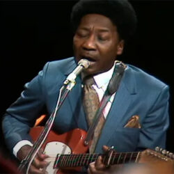 Muddy Waters – Walking in the Park