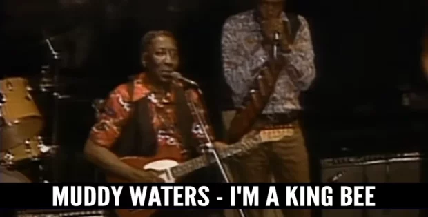 Muddy Waters - I'm A King Bee