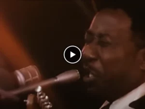 Muddy Waters – She’s Nineteen Years Old