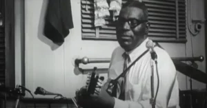 Howlin' Wolf - Down In The Bottom