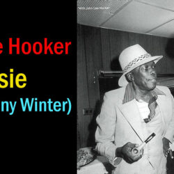 John Lee Hooker - Susie (feat. Johnny Winter)